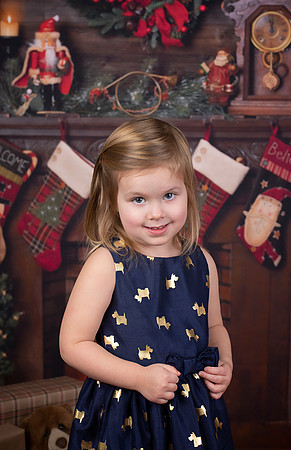 2020 Holiday Mini Session - Biland