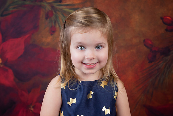 2020 Holiday Mini Session - Biland