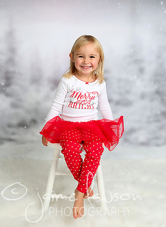 2016 Holiday Mini Session