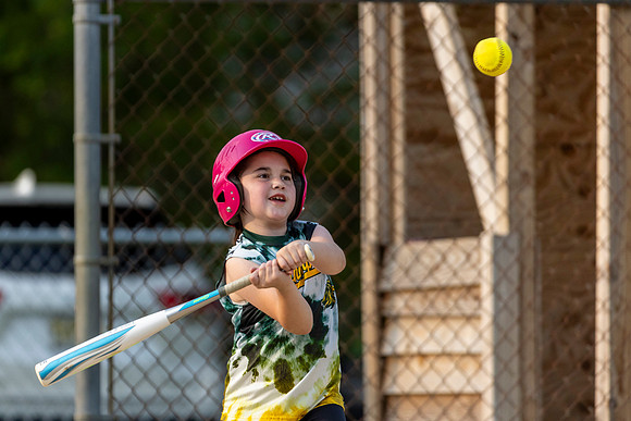 2025 STRA Lions Softball