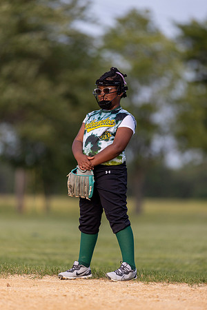2025 STRA Lions Softball