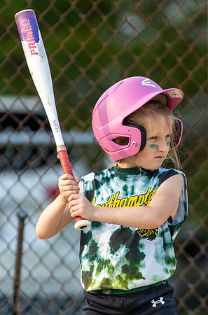 2025 STRA Lions Softball