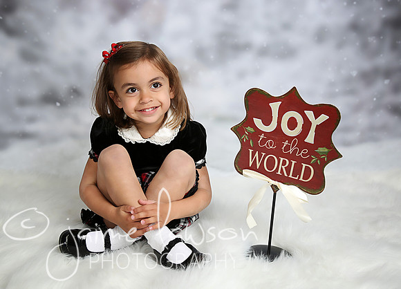 2016 Holiday Mini Session
