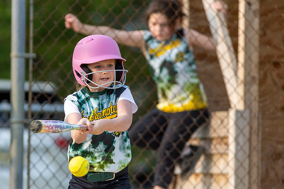2025 STRA Lions Softball