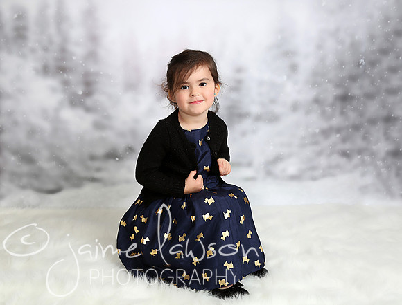 2016 Holiday Mini Session