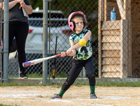 2025 STRA Lions Softball
