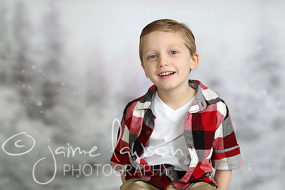 2016 Holiday Mini Session