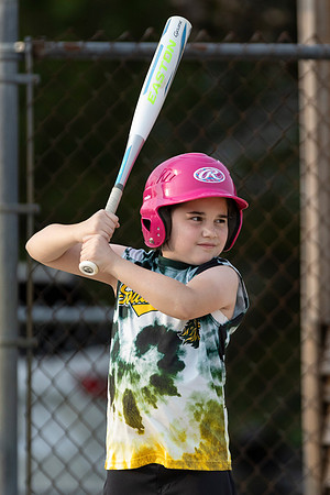 2025 STRA Lions Softball