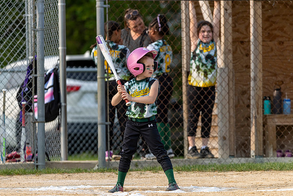 2025 STRA Lions Softball