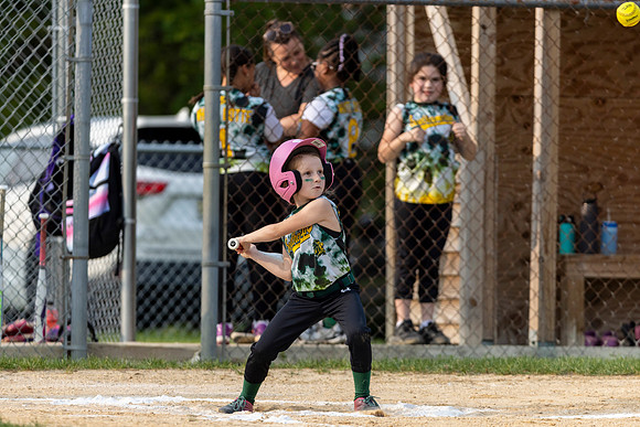 2025 STRA Lions Softball